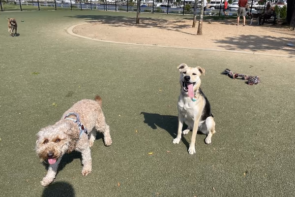 Dog Run at Wantagh Park photo 2